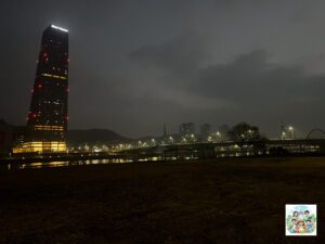 신세계백화점, LSD