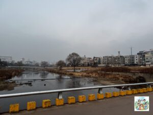 KAIST를 지나서... LSD