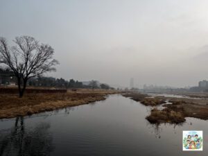 돌아가는길...LSD