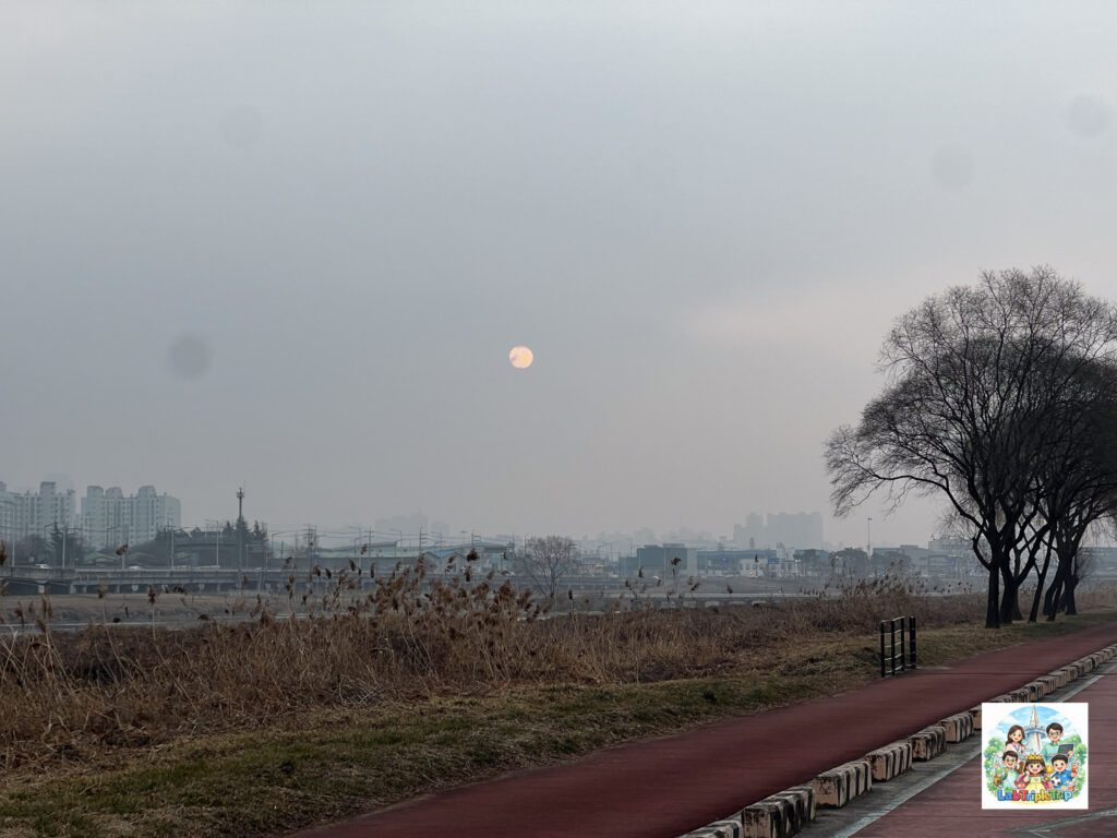 해가떴는데 미세먼지때문에